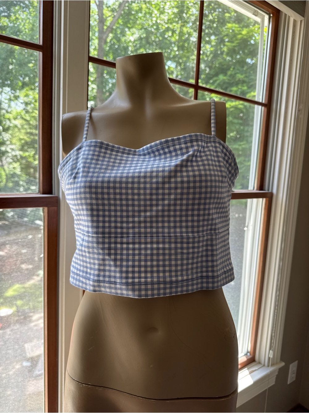 Hollister Blue Gingham Spaghetti Strap Crop Cami